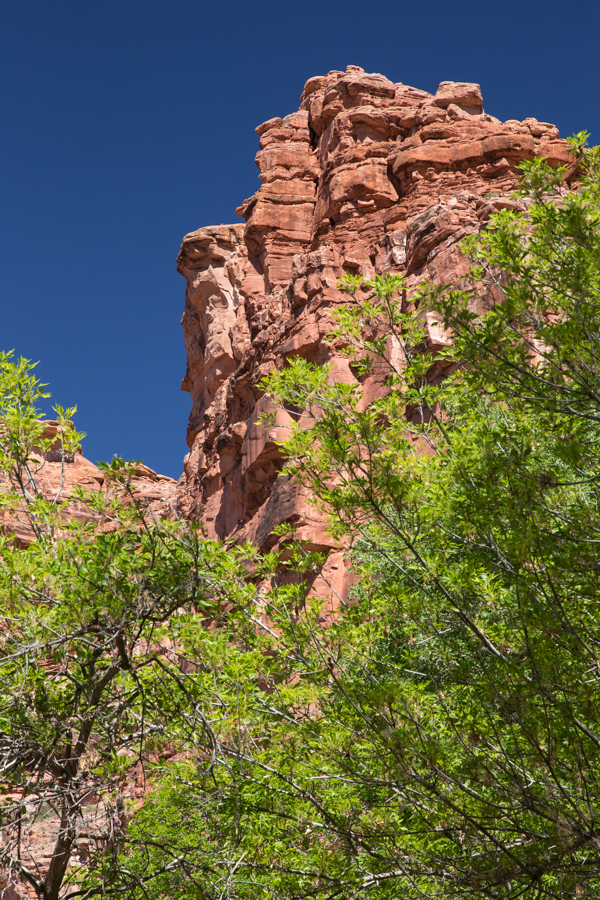 Hiking in the Canyon in Grand Canyon, Arizona