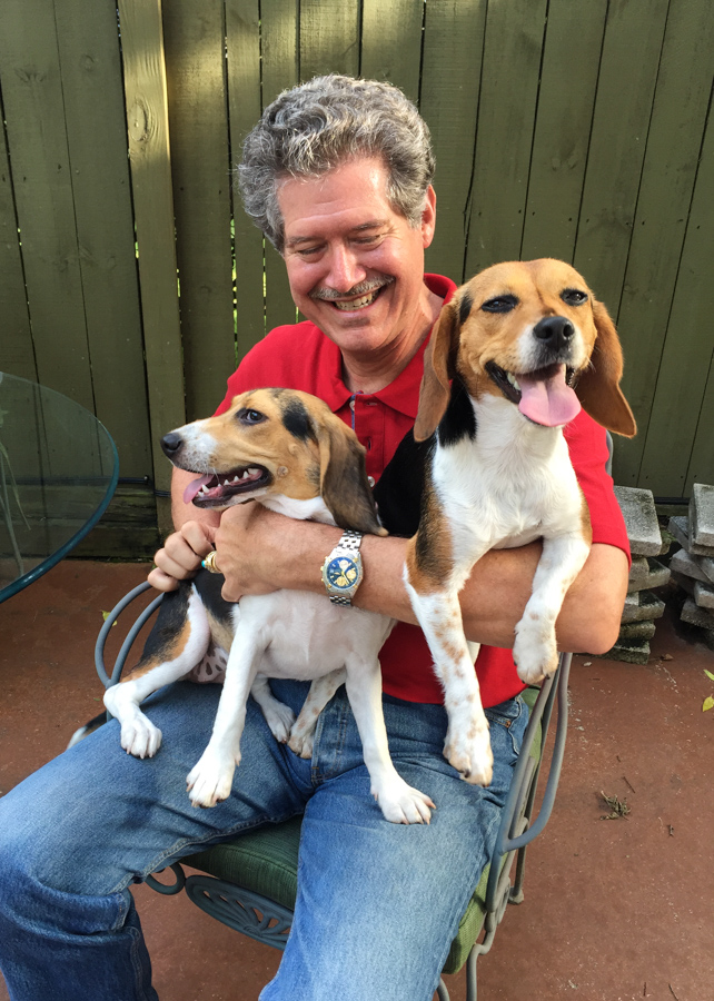 Handful of Beagles  in Columbus, Georgia