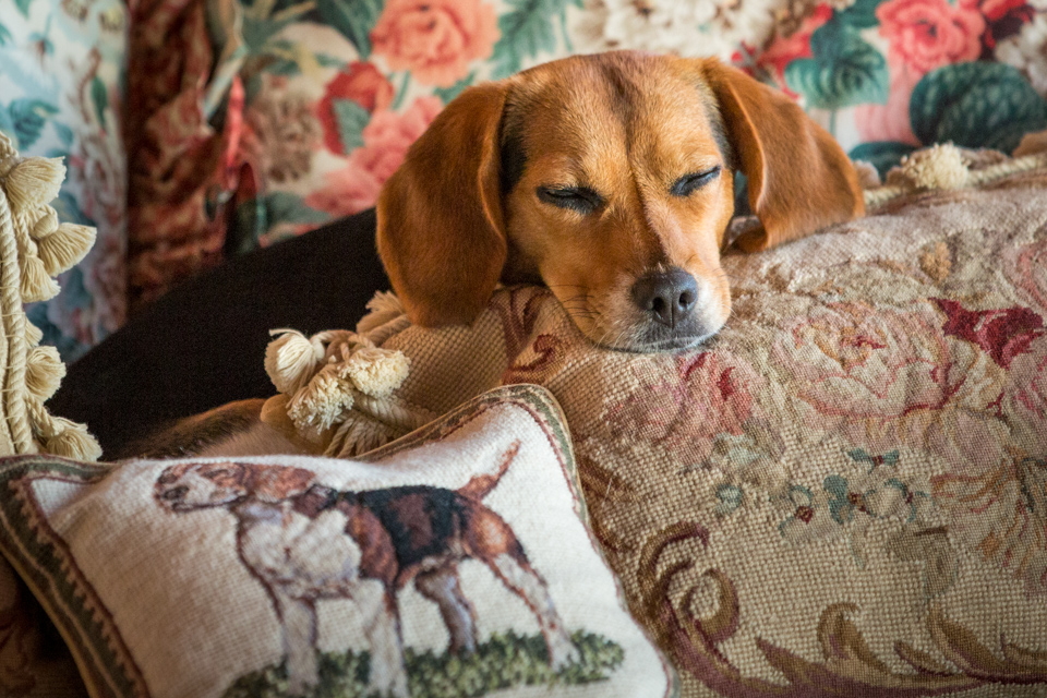 Pillow Rest in Columbus, Georgia