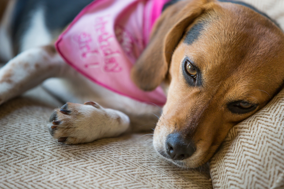 Tired Party Girl in Austin, Texas