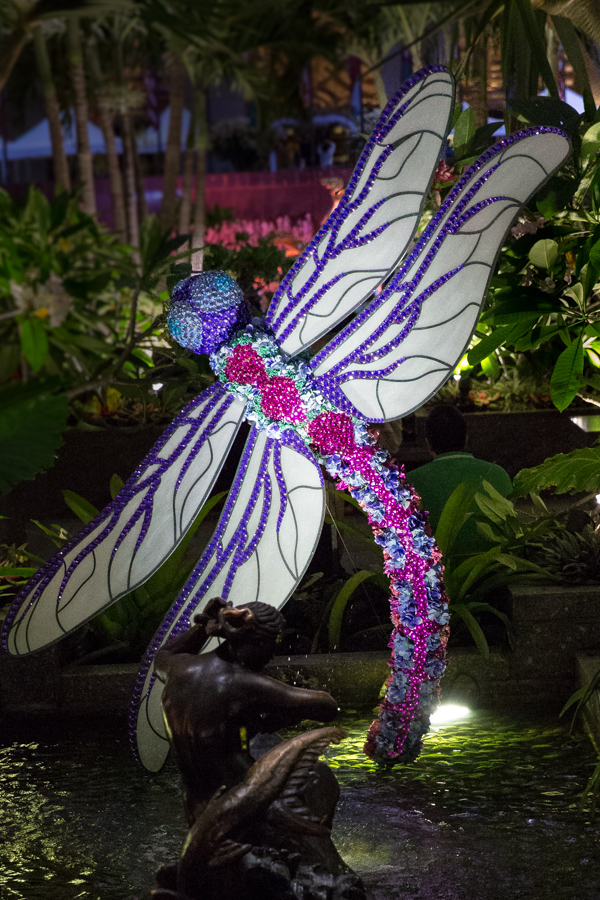 Dazzling Dragonfly in New York, New York
