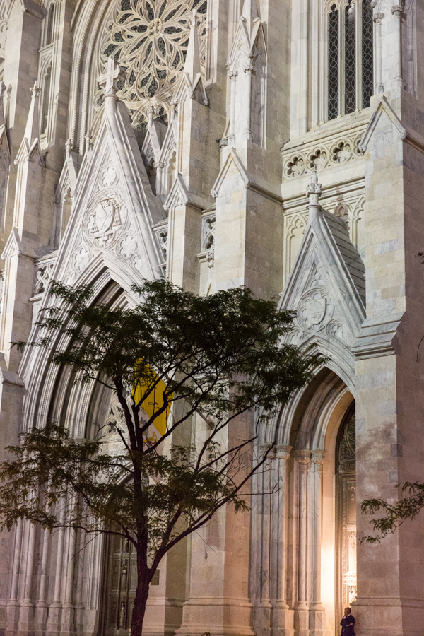 New York Tree in New York, New York