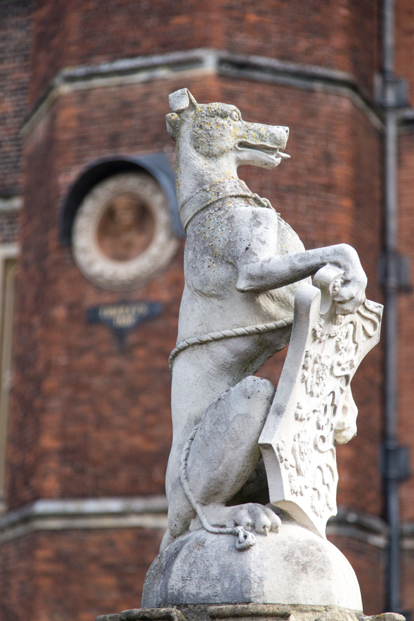 Royal Pup in London, England