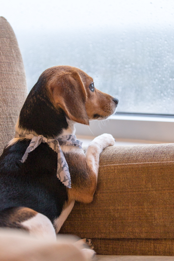 Rainy Day in Austin, Texas