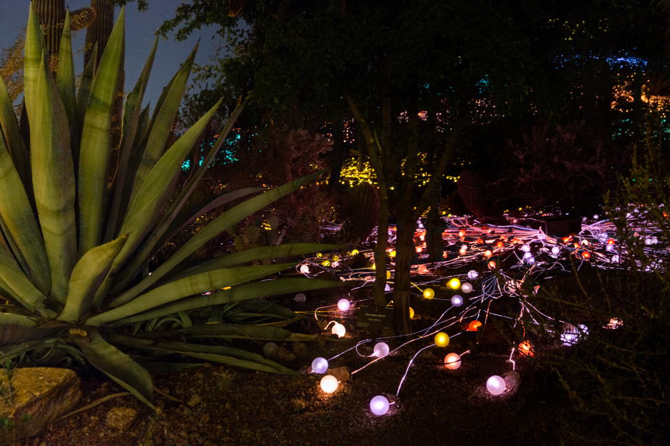 Lights Reaching in Phoenix, Arizona