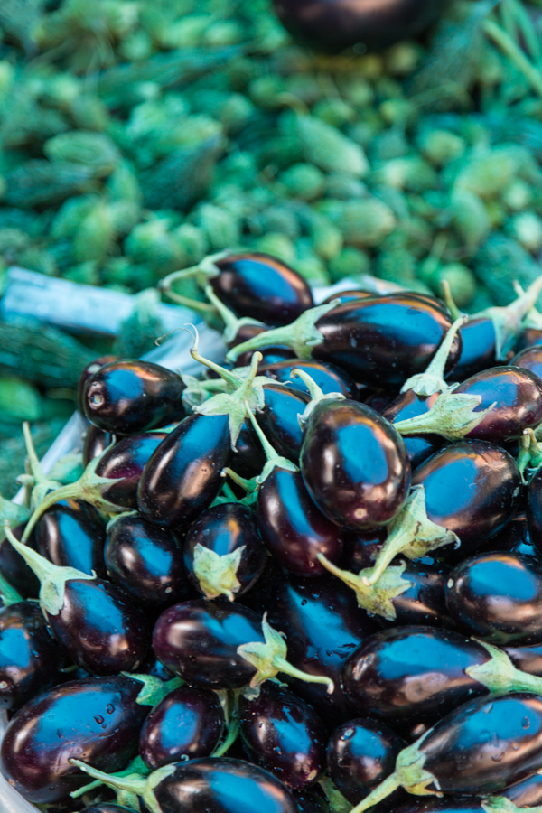 Pile of Eggplant in Jaipur, India