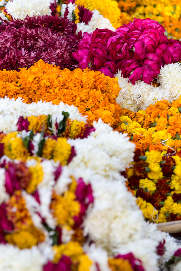 Leis in Jaipur, India