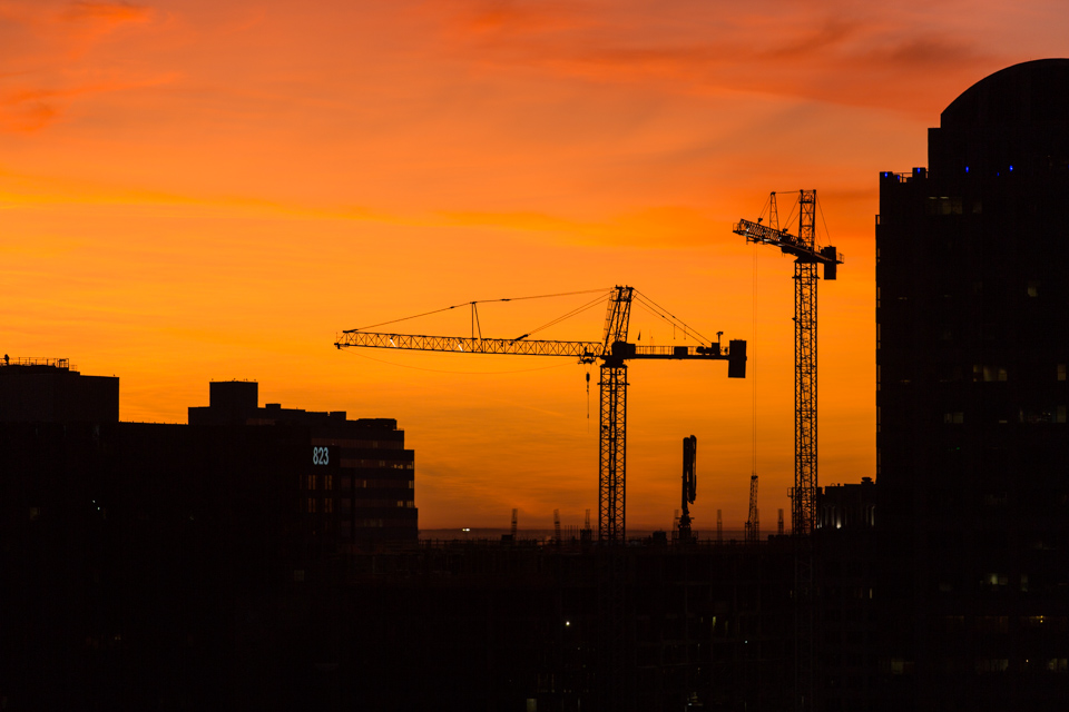 Cranes at Sunrise in Austin, Texas