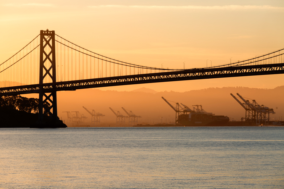 Dawn Cranes in San Francisco, California