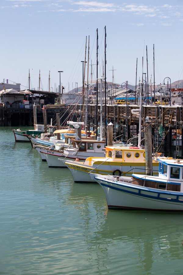 Fishing Fleet in San Francisco, California