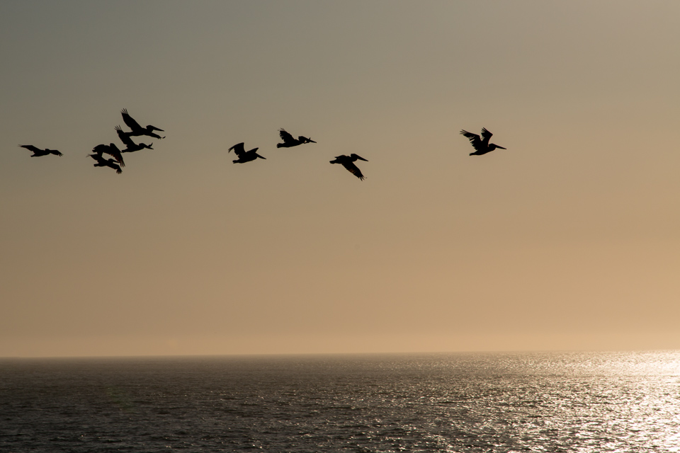 In Flight in San Francisco, California