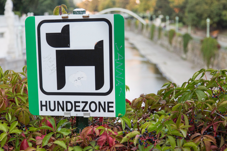 Pup Zone in Vienna, Austria