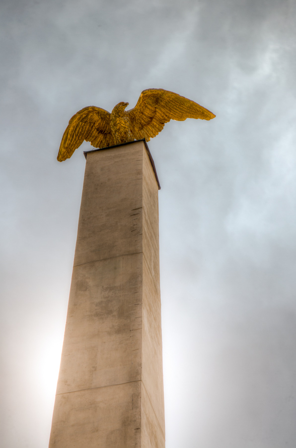 Eagle in Vienna, Austria