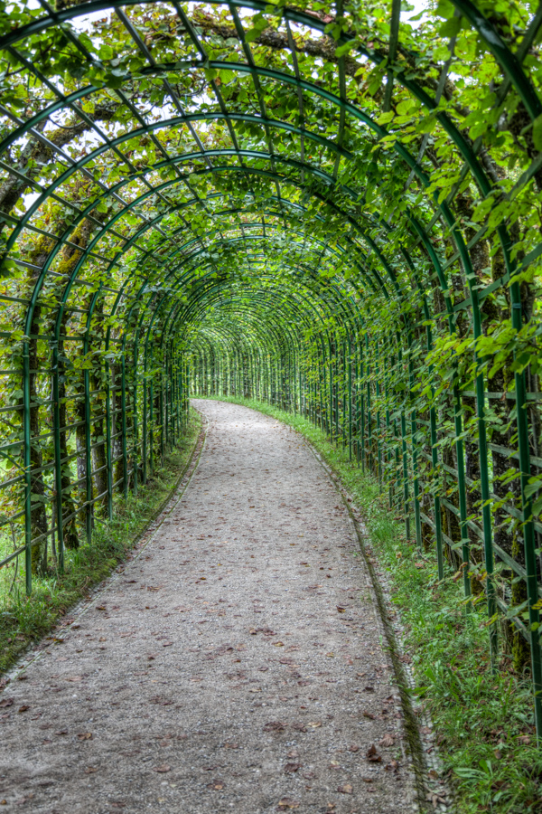Trellis  in Fussen, Germany