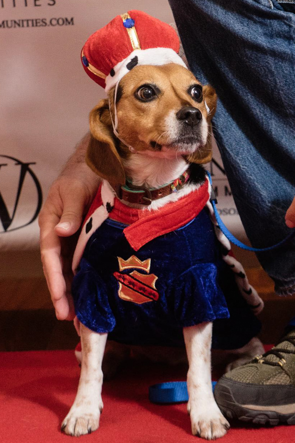 Little Pope in Austin, Texas