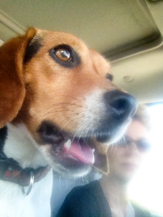 Pup Selfie in Columbus, Georgia