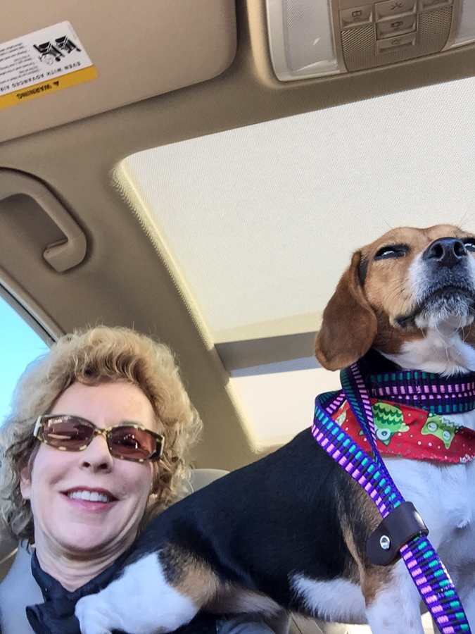 Riley on Shoulder in Hawkinsville, Georgia