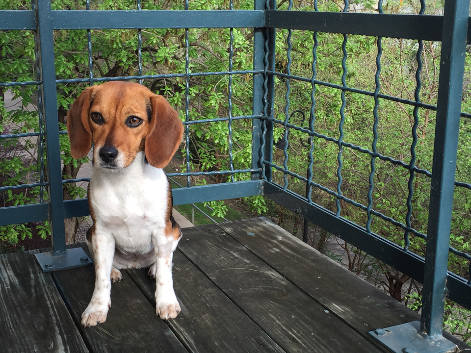 On the Patio in Austin, Texas