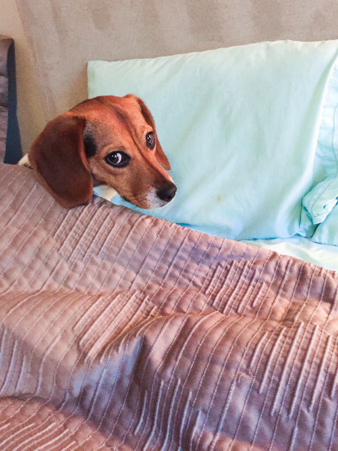 Time for Bed? in Austin, Texas