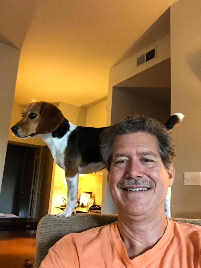 Dog Up in Austin, Texas