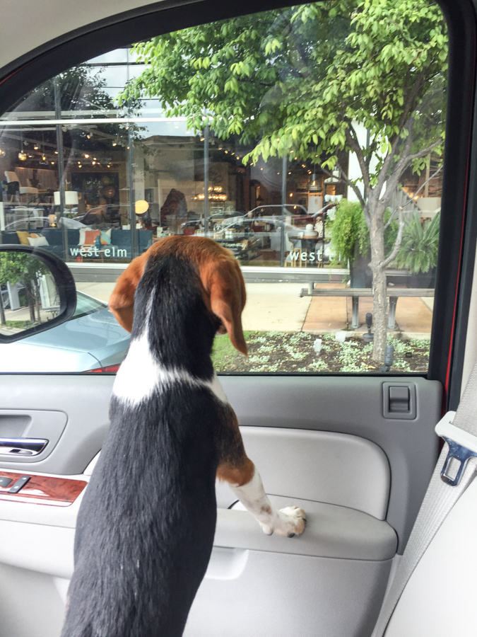 Window Shopping in Austin, Texas
