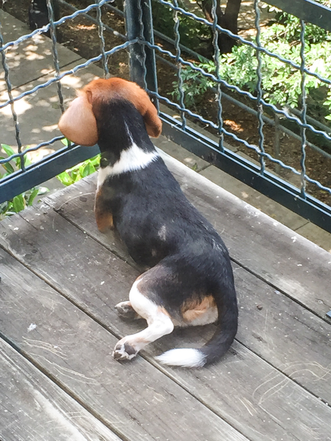 Restful Watch in Austin, Texas