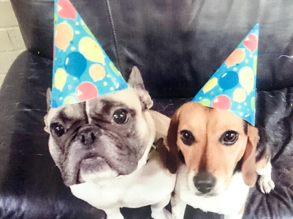 Birthday Party in Austin, Texas