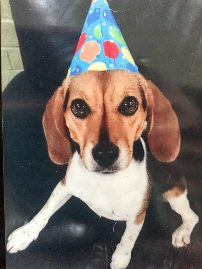 Party Girl in Austin, Texas