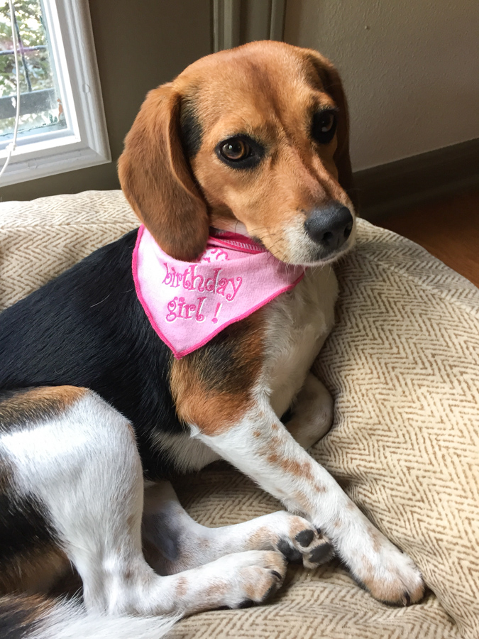 Birthday Girl in Austin, Texas