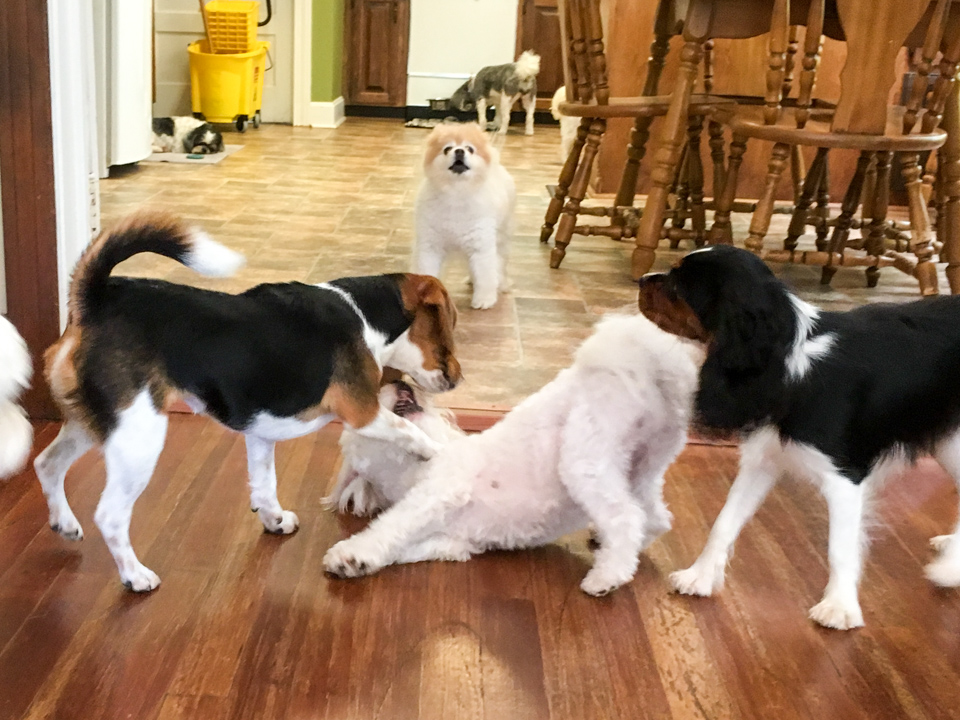 Play Time in Columbus, Georgia