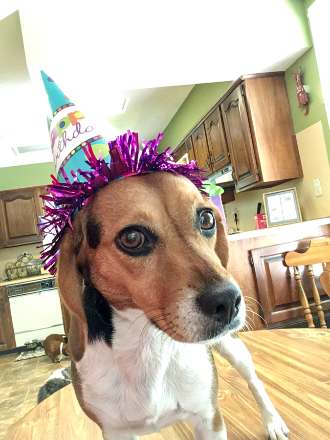 Birthday Hat in Columbus, Georgia