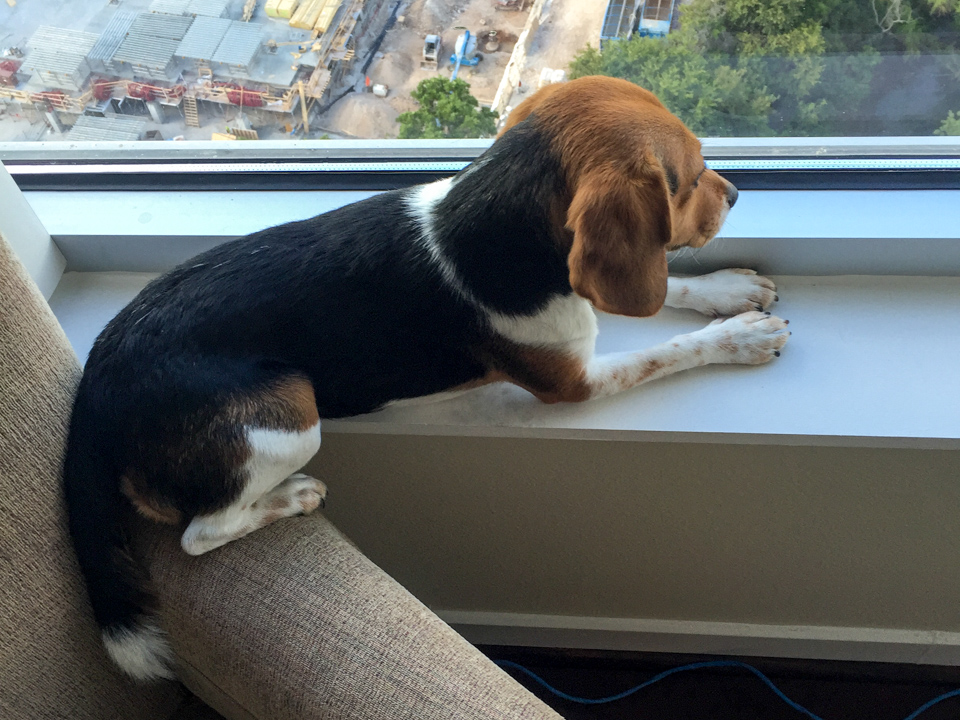 On The Ledge in Austin, Texas