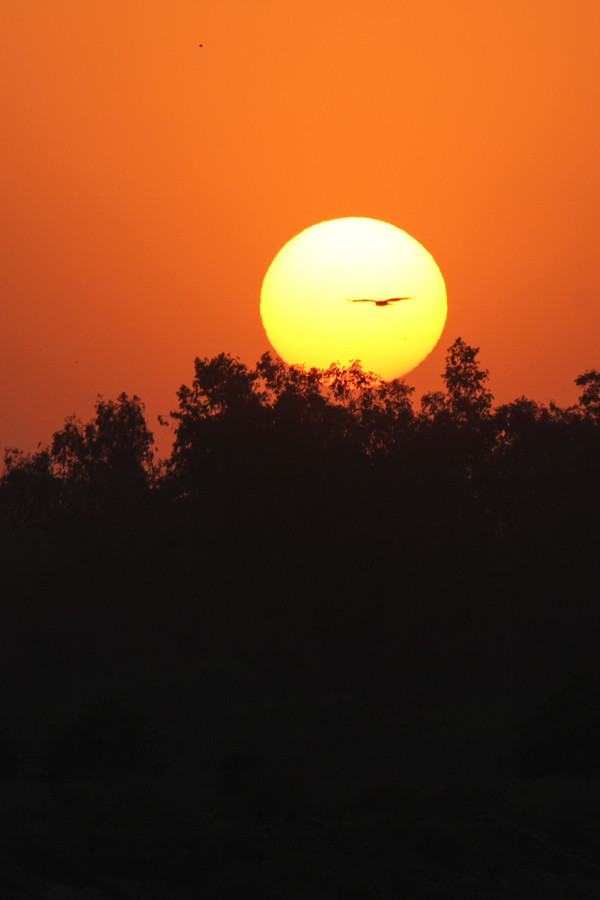 Sunset in India in Agra, India