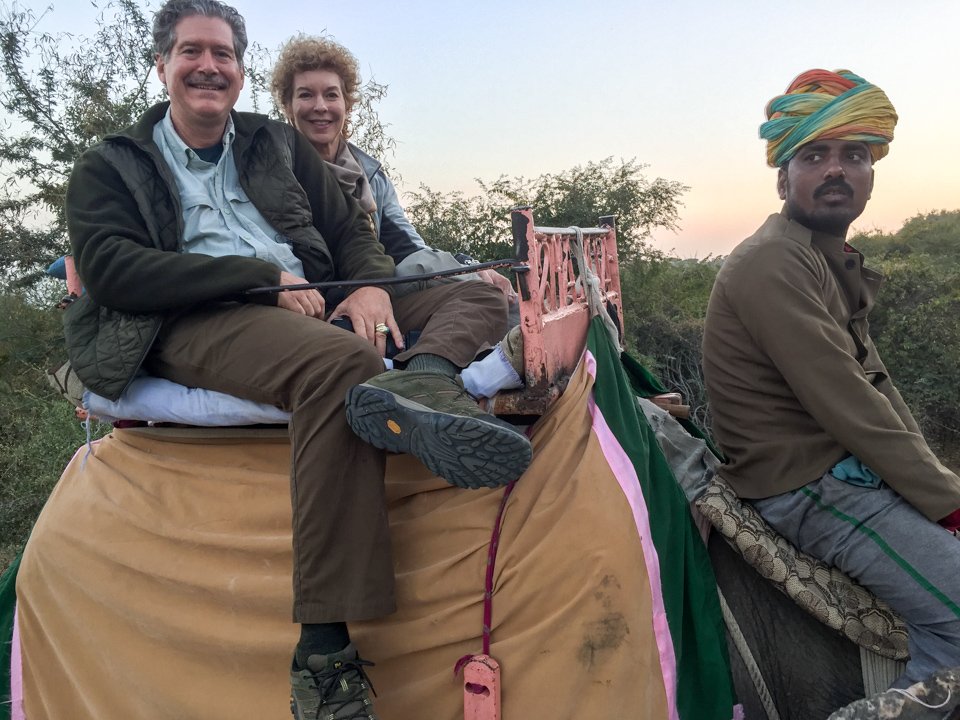 Elephant Perch in Jaipur, India