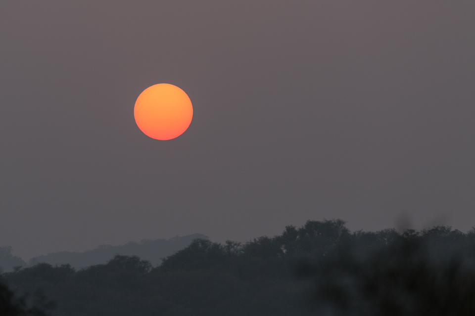 End of the Safari in Ranthambore National Park, India
