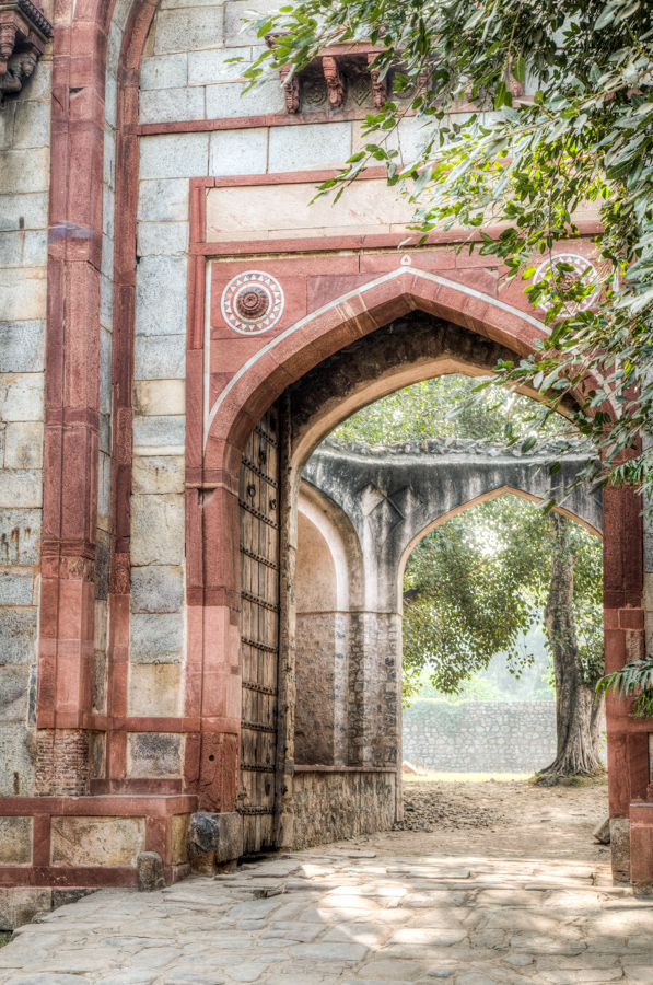 Arch and Tree in Delhi, India