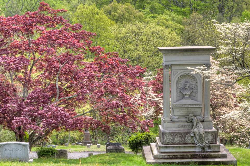 Dogwood Resting Place in Tarrytown, New York