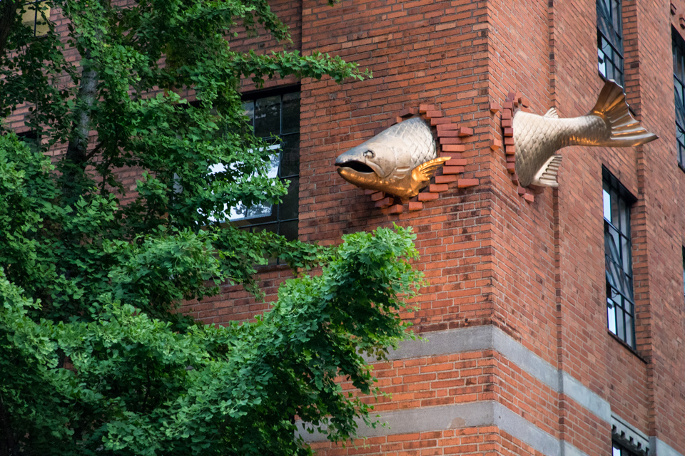 Fish in a Building in Portland, Oregon