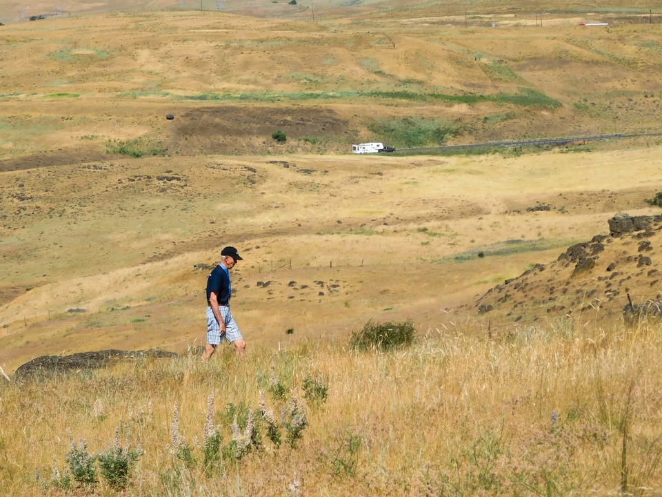 Bill in the Field in Portland, Oregon