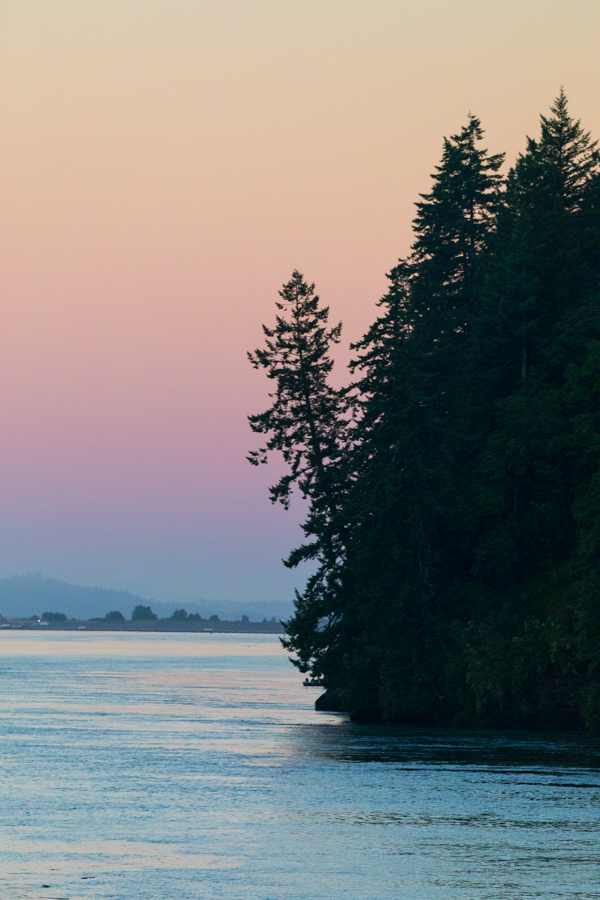 Trees to the Water in Astoria, Oregon