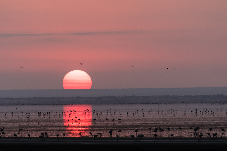 Orange Ball in Lake Manyara, Tanzania
