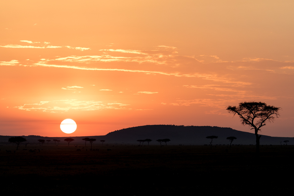 Sunset in Tanzania in Serengeti, Tanzania