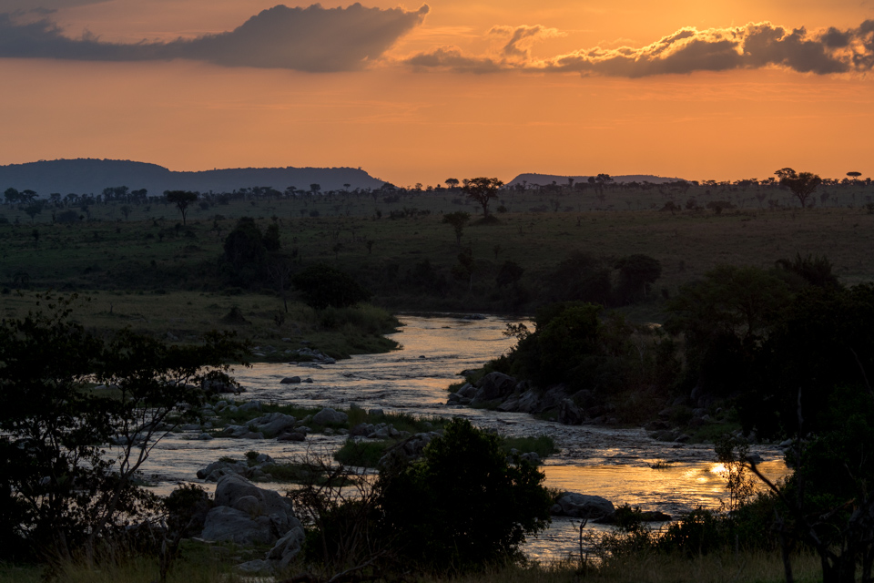 Golden Water in Serengeti, Tanzania
