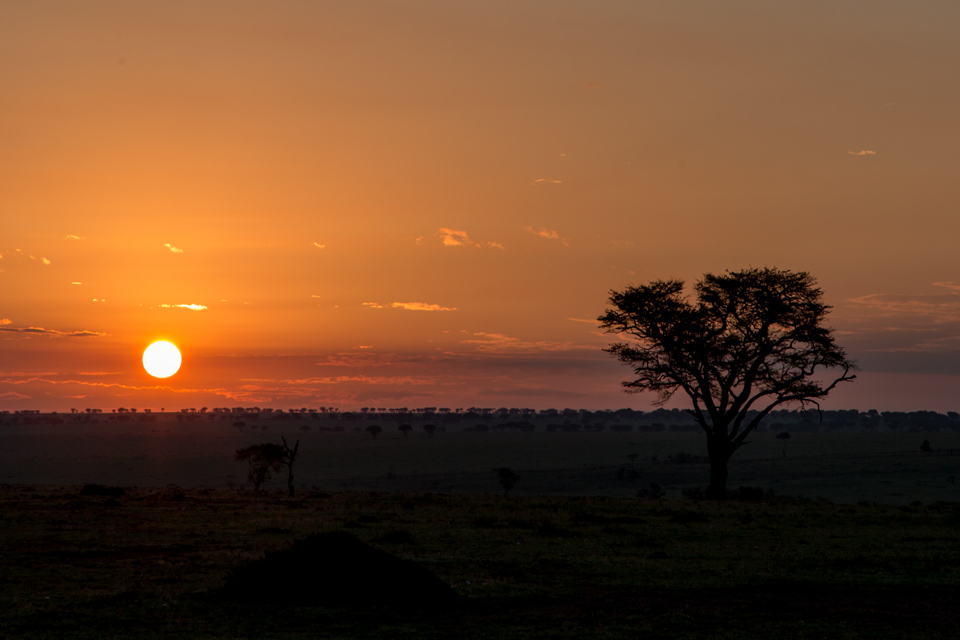 Sunrise on Safri in Serengeti, Tanzania