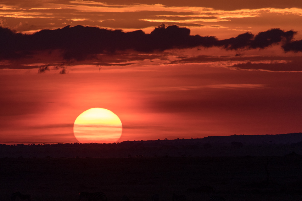 Orange Orb in Serengeti, Tanzania