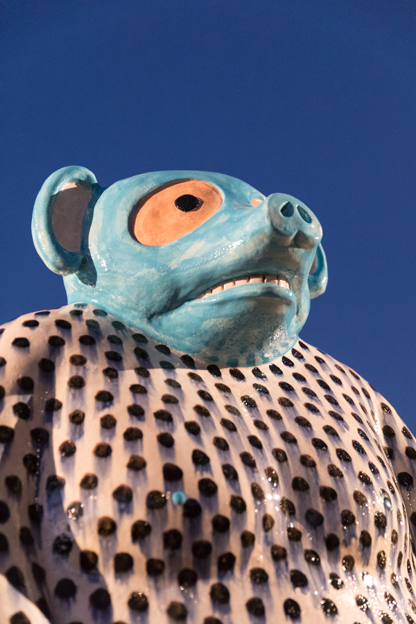 Rat? in Phoenix, Arizona
