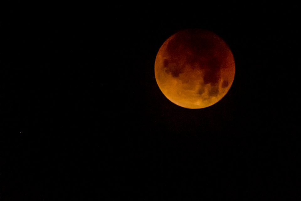 Blood Moon in Phoenix, Arizona
