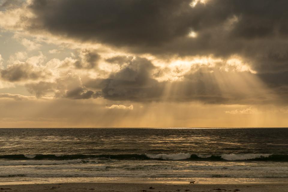 Sunset on Dog in Carmel, California