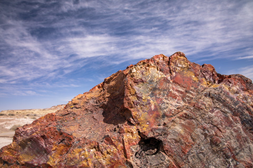 Petrified Wood in Winslow, Arizona