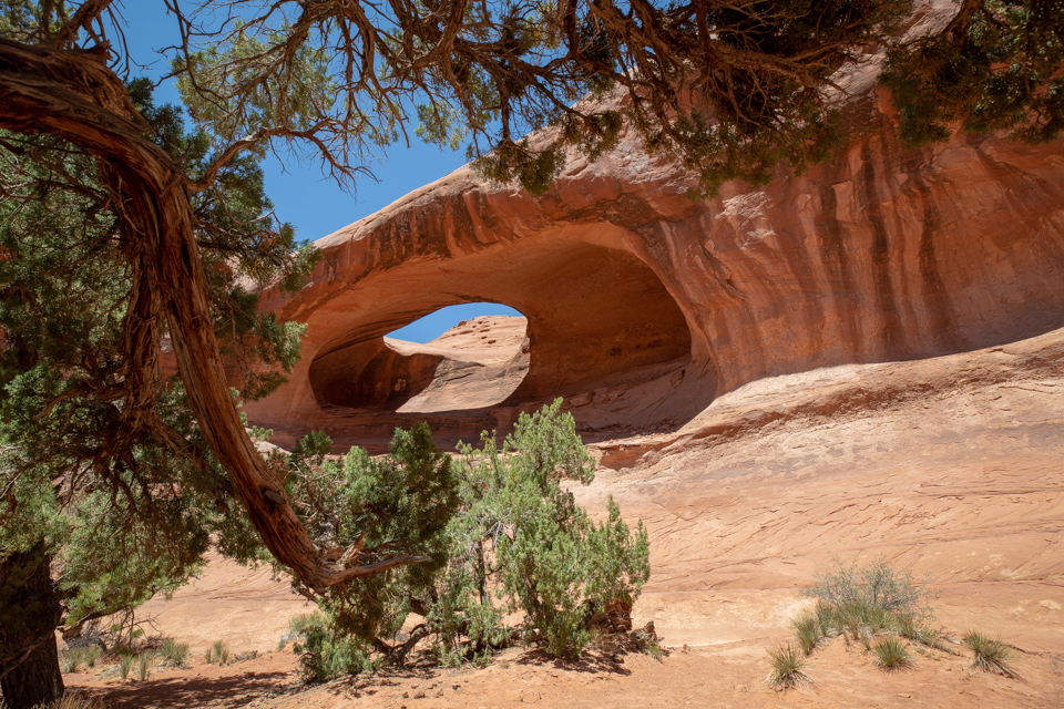 Half Dome Arch in Goulding, Utah